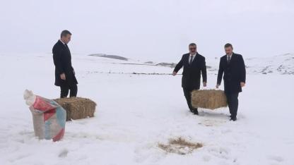 Zorlu kışta yaban hayvanlarına yem desteği