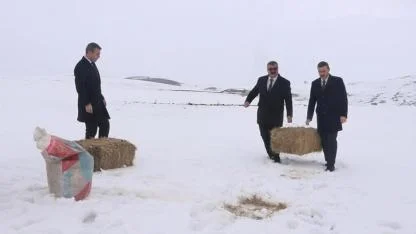 Zorlu kışta yaban hayvanlarına yem desteği