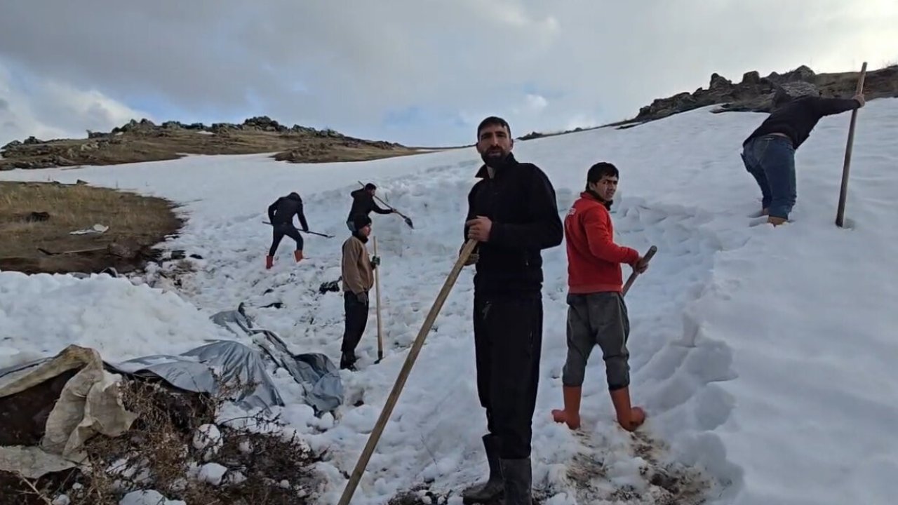 Ağrı Dağı eteklerinde kar depolama mesaisi