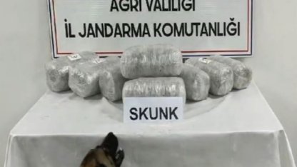 Ağrı’da 10 kilogram skunk ele geçirildi, 1 şüpheli tutuklandı
