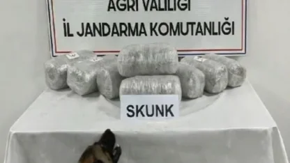 Ağrı’da 10 kilogram skunk ele geçirildi, 1 şüpheli tutuklandı