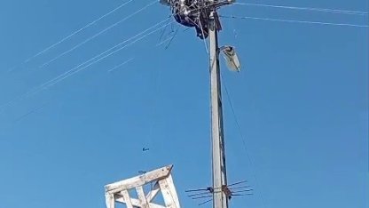 Aras Elektrik’ten doğa dostu adım: Fırtınada zarar gören leylek yuvaları yeniden yerine yerleştirildi