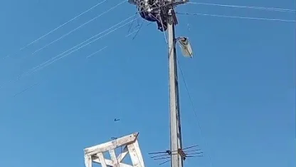 Aras Elektrik’ten doğa dostu adım: Fırtınada zarar gören leylek yuvaları yeniden yerine yerleştirildi