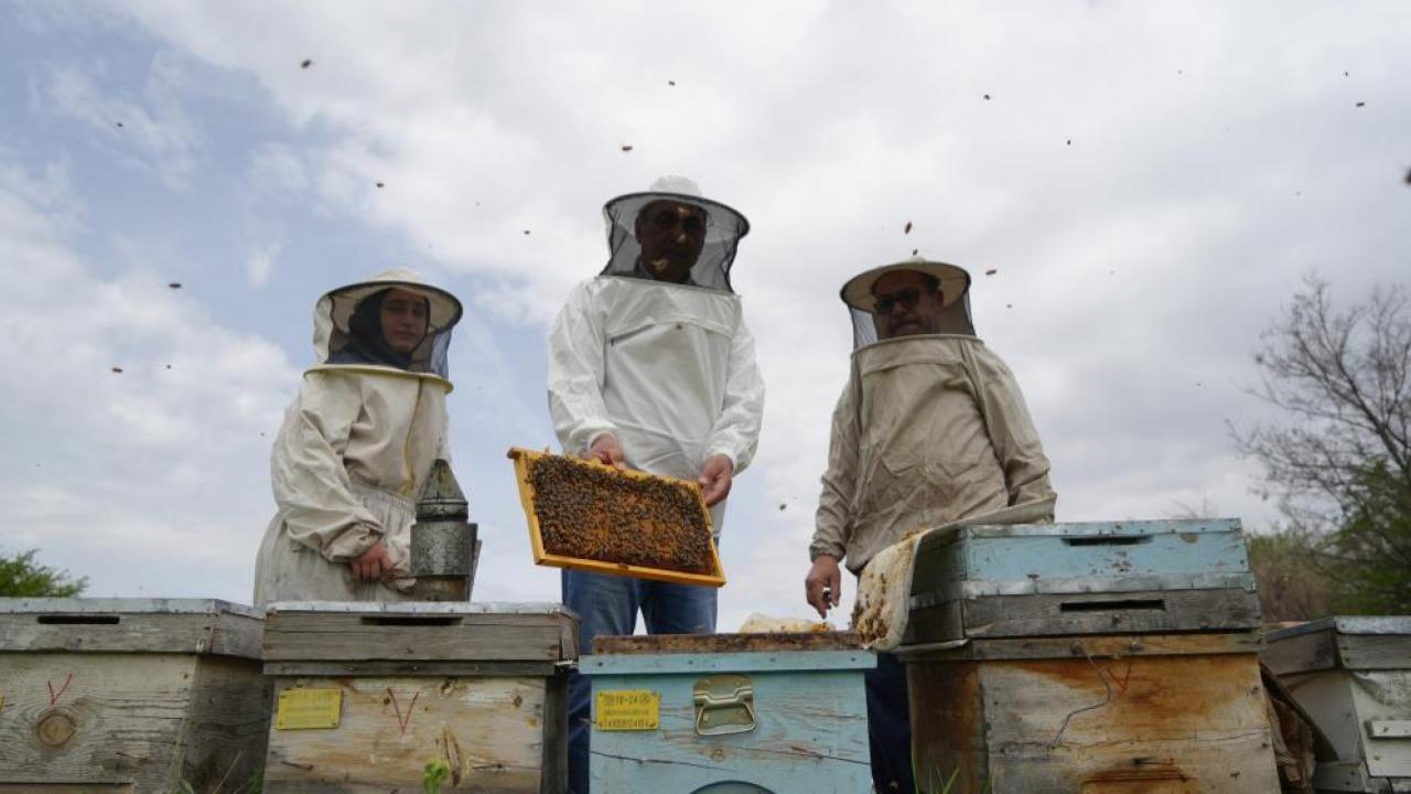 Arıcılar yeni sezona hazırlanıyor