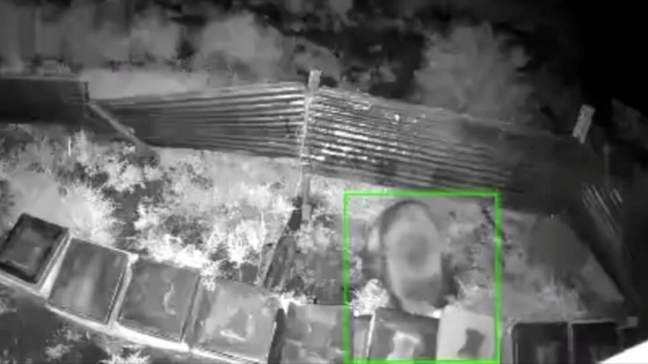 Ayı arı kovanlarına saldırdı