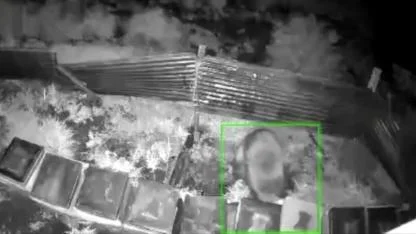 Ayının arı kovanlarına saldırısı kamerada