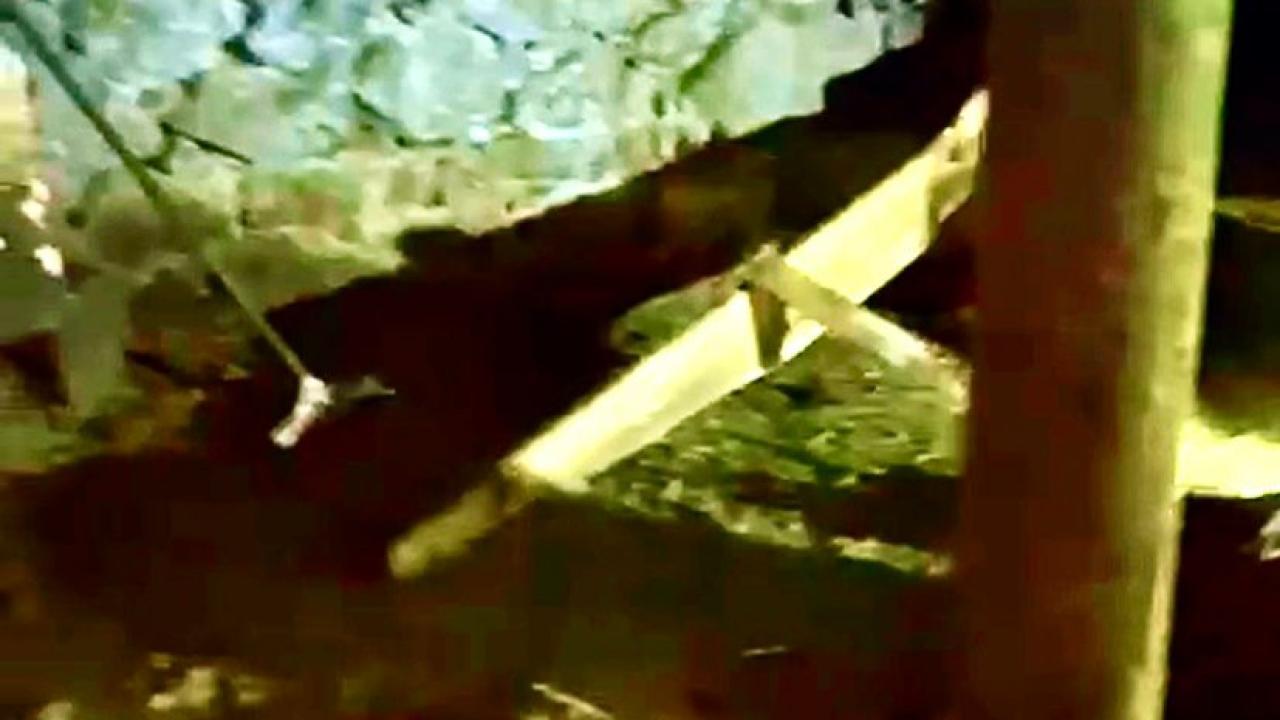 Çığırgan Köyünde ahır çöktü