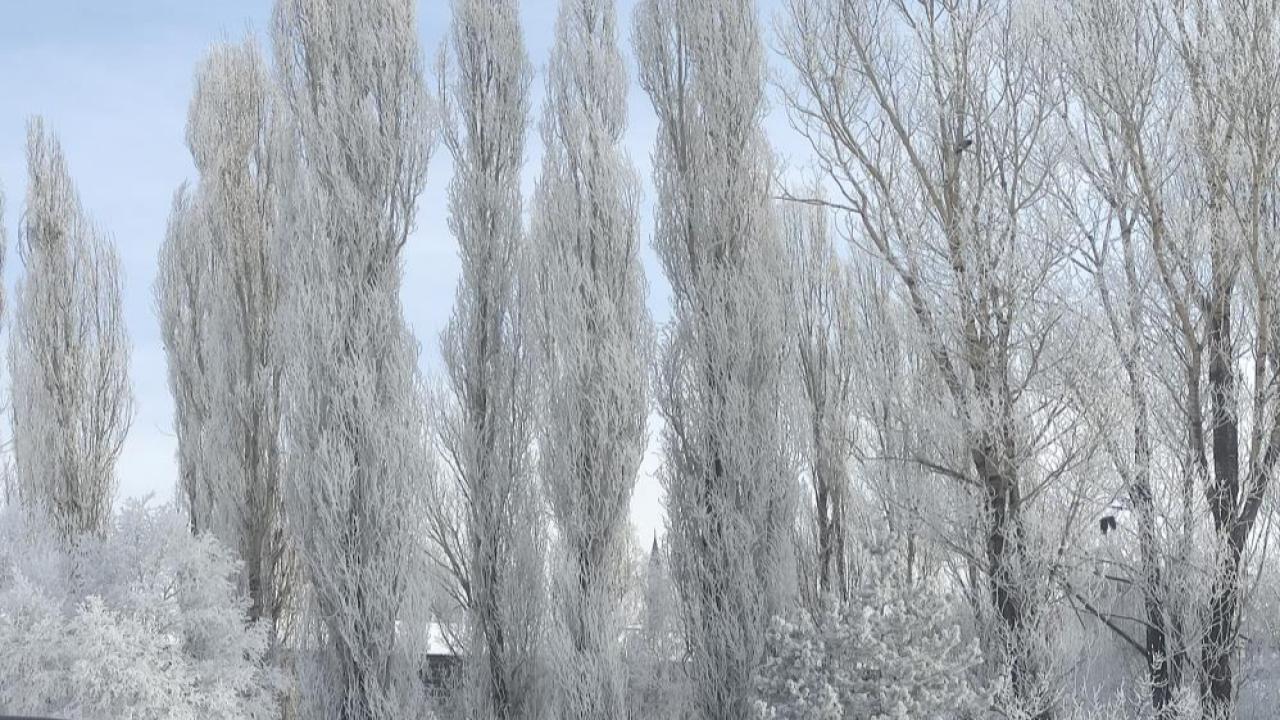Dondurucu soğuklar mart ayında da etkisini sürdürüyor