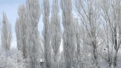 Ardahan'da dondurucu soğuklar etkisini sürdürüyor