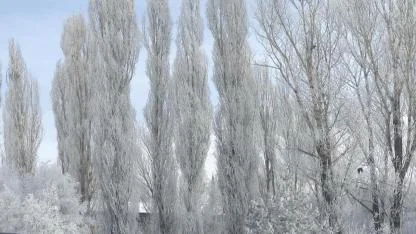 Dondurucu soğuklar mart ayında da etkisini sürdürüyor