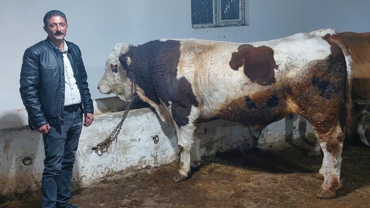 Karslı üreticiden gençlere meslek çağrısı