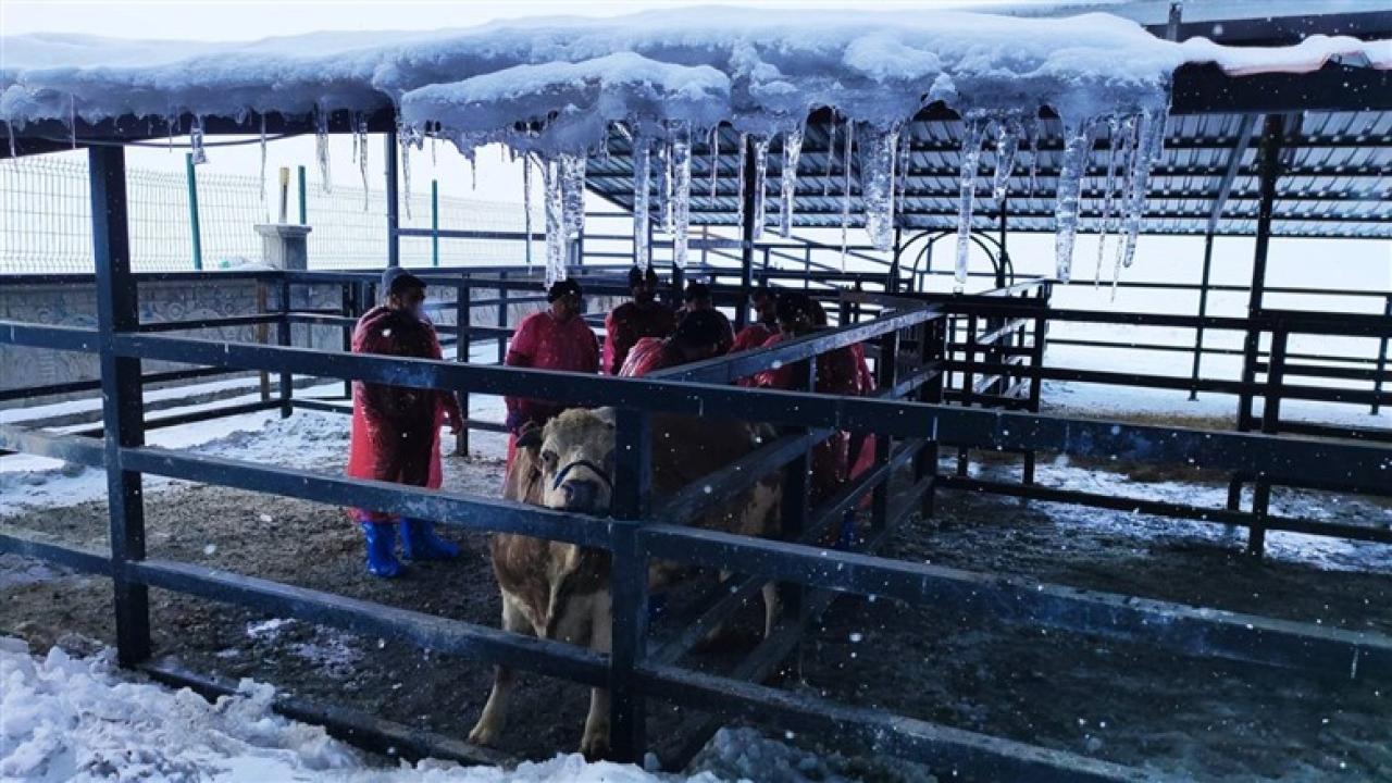 Kars’ta eksi 10 derecede üç dev eğitim