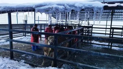 Kars’ta eksi 10 derecede üç dev eğitim