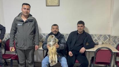 Sarıkamış'ta yaralı bulunan puhu kuşu koruma altına alındı