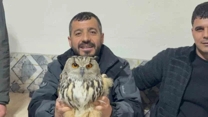 Kars’ta yaralı puhuya şefkat eli