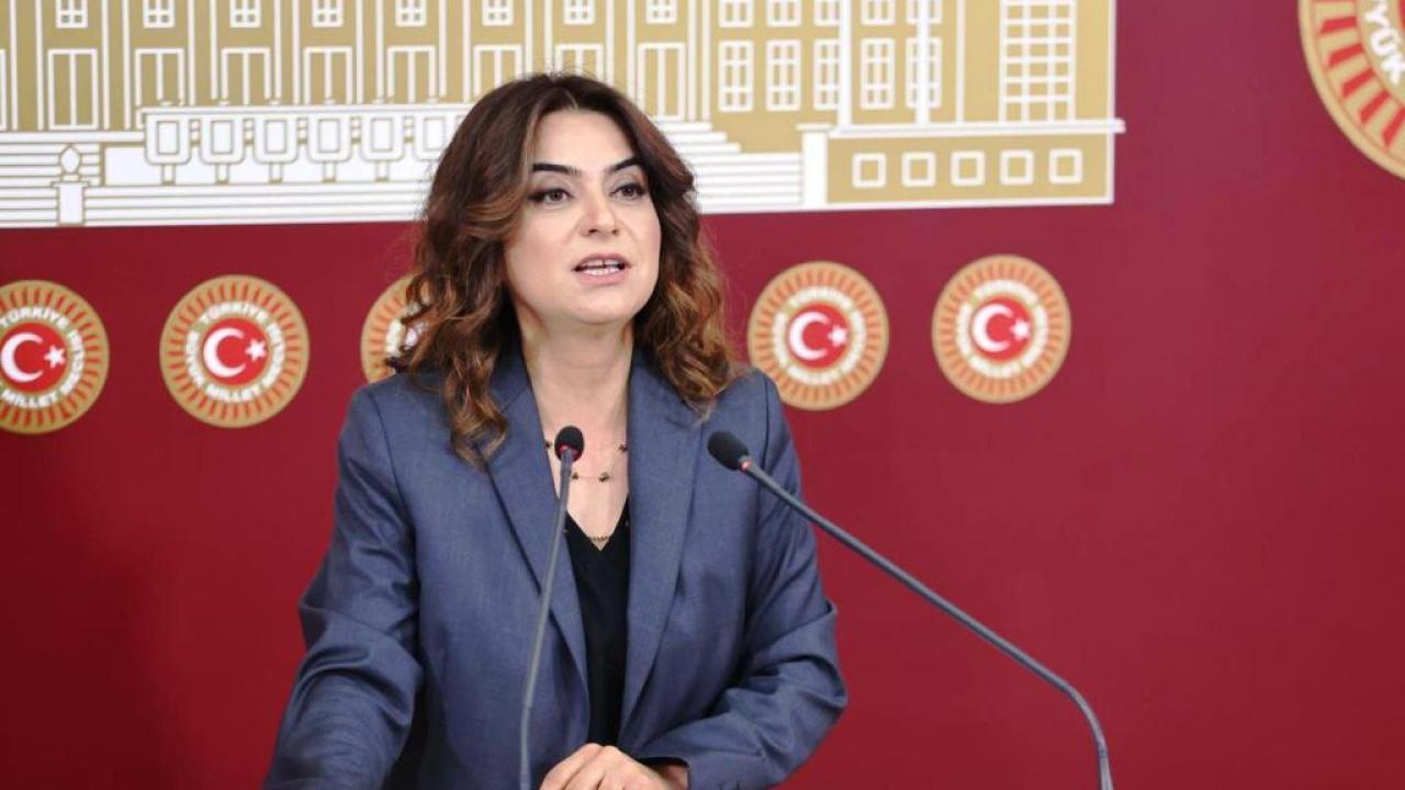 Koçyiğit, Kars’ın bozuk yollarını TBMM’ye taşıdı