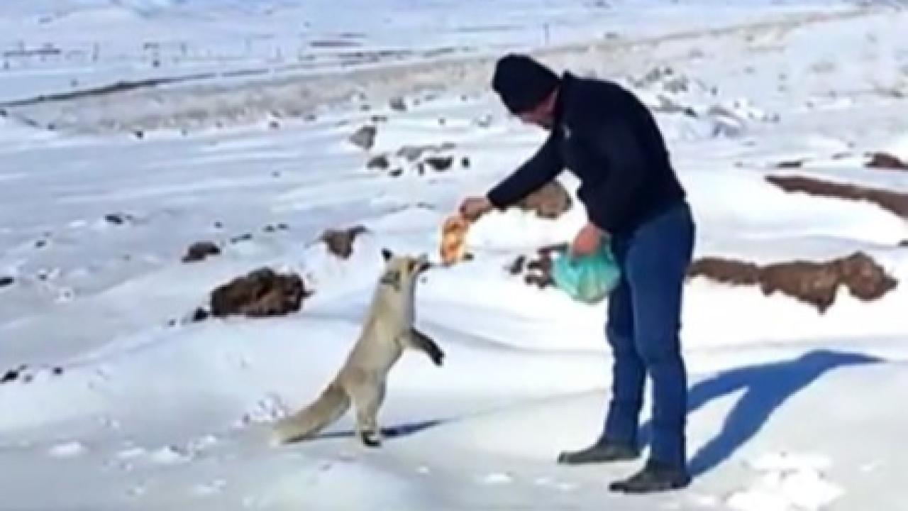 Maden ocağındaki tilkiye işçilerden şefkat eli uzandı