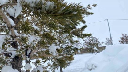 Mart ayında Ağrı’da kar yağışı etkili oldu