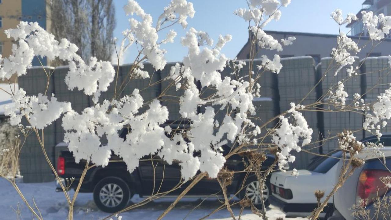 Mart ayında dondurucu soğuklar