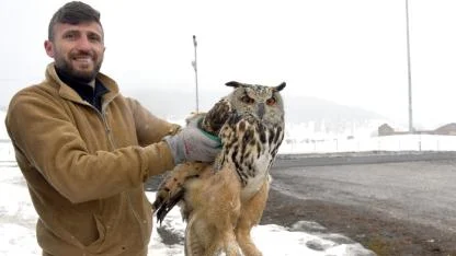 Bitkin bulunan baykuş doğa koruma ekiplerine teslim edildi