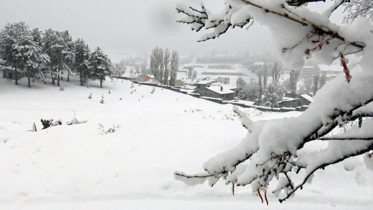 Sarıkamış’ta karla kaplı doğa ve yaban kuşları
