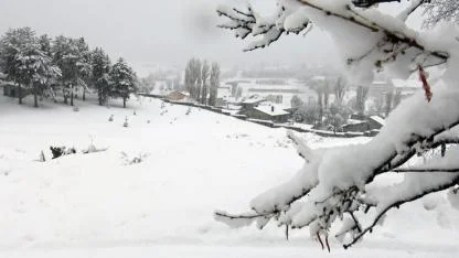 Sarıkamış’ta karla kaplı doğa ve yaban kuşları