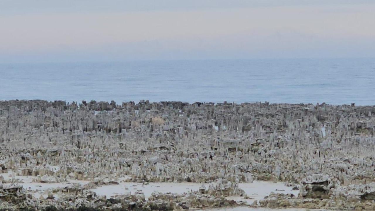 Adilcevaz sahilinde kuraklığın izleri derinleşiyor