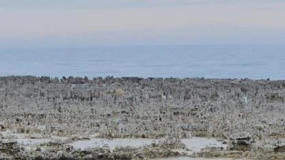 Adilcevaz sahilinde kuraklığın izleri derinleşiyor
