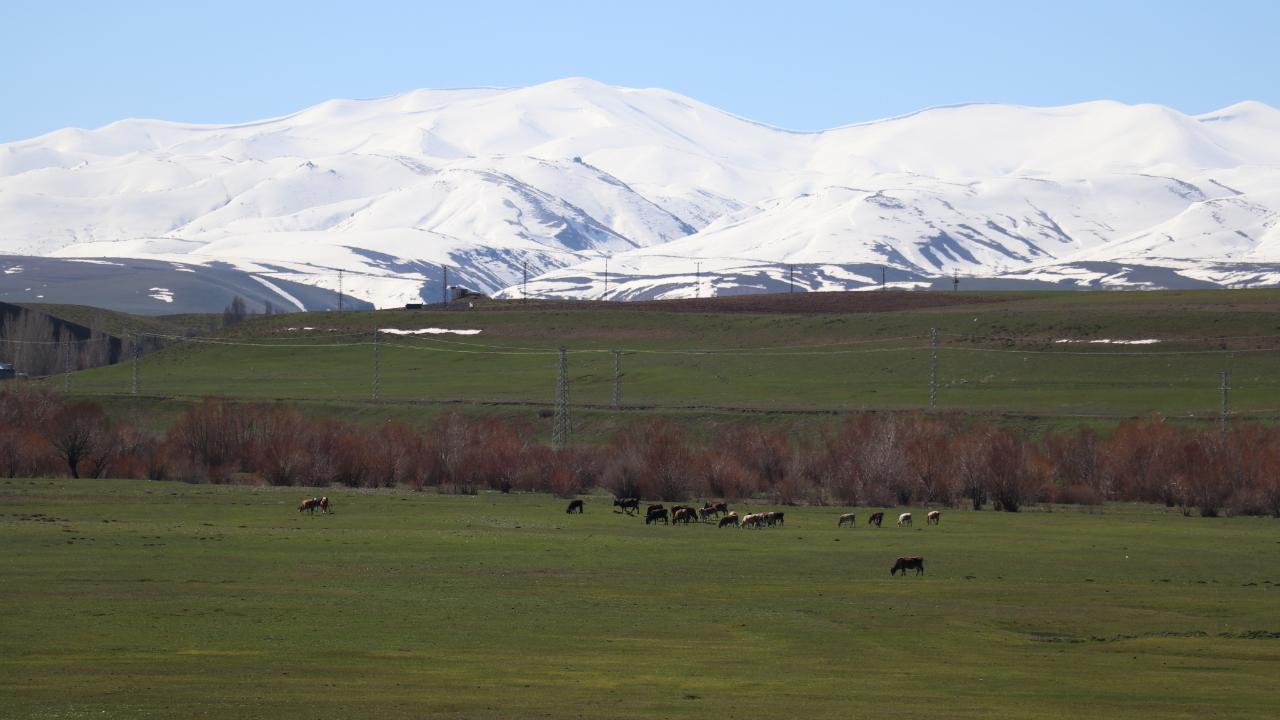 Ağrı’da aynı anda kış ve bahar manzarası