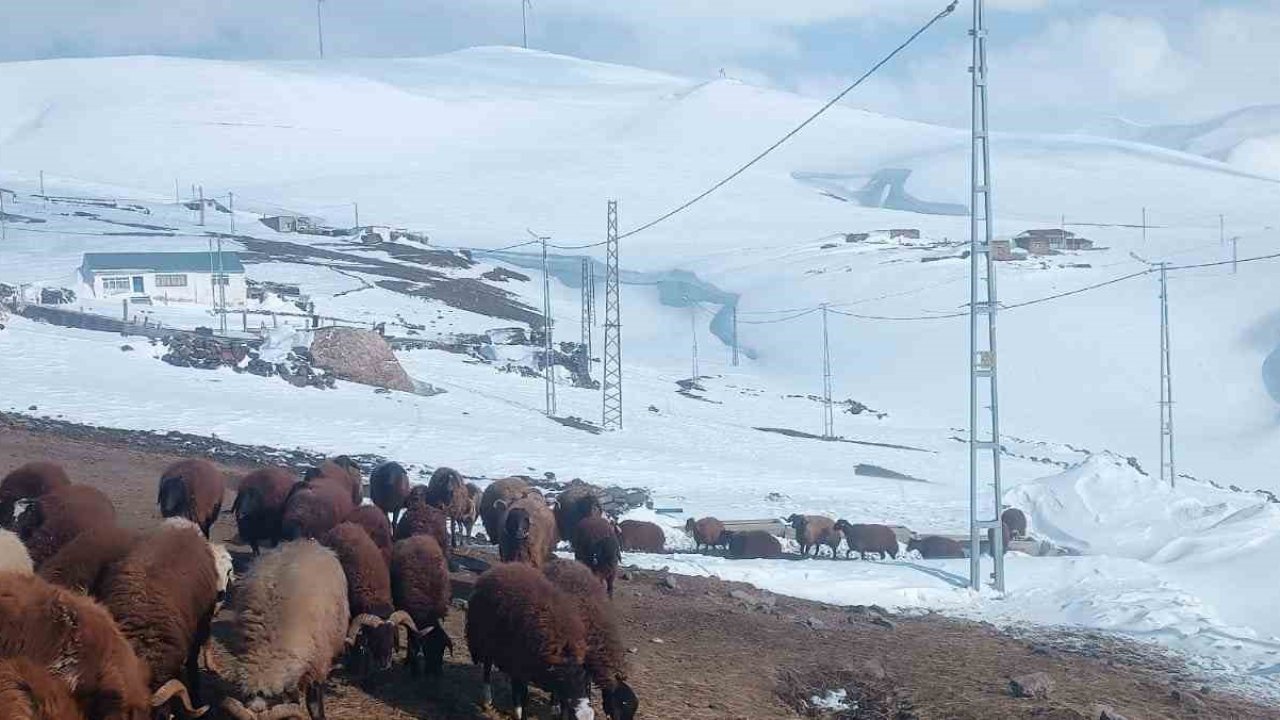 Ağrı’da Nisan ayında kar yağışı yolları kapattı