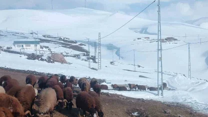 Ağrı’da Nisan ayında kar yağışı yolları kapattı