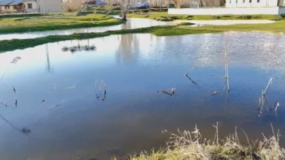 Ağrı’da sağanak nedeniyle dereler taştı