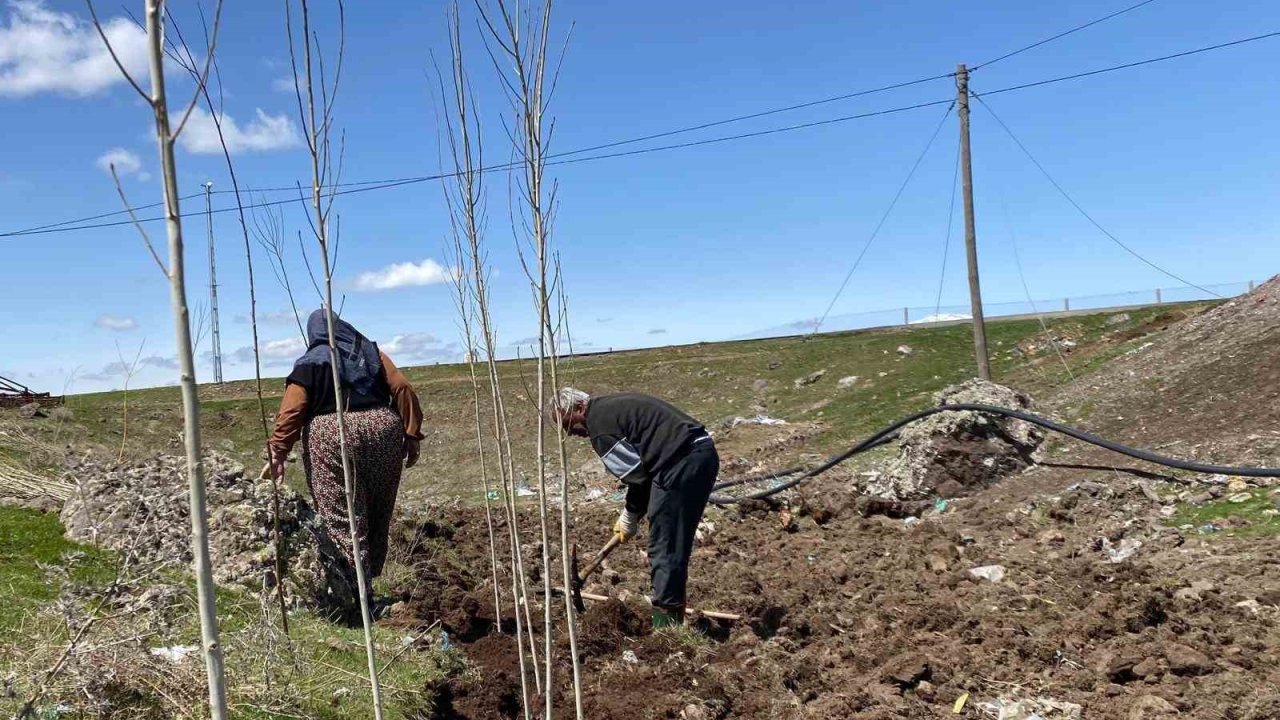 Ağrı’da vatandaşlar imece usulü fidan dikerek geleceğe nefes oluyor