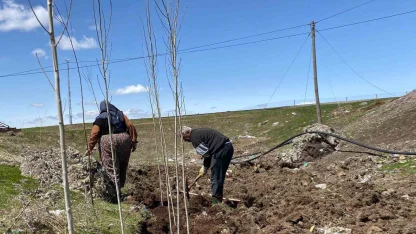 Gelecek için toprağa umut ektiler
