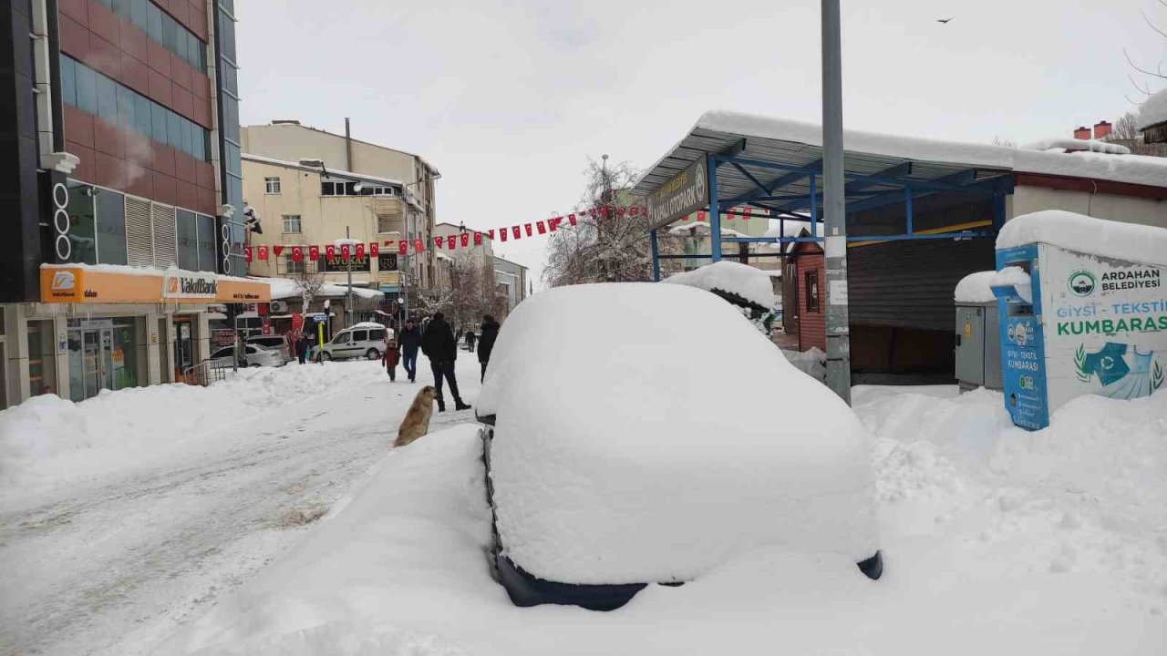 Ardahan’da nisan ayında kar sürprizi