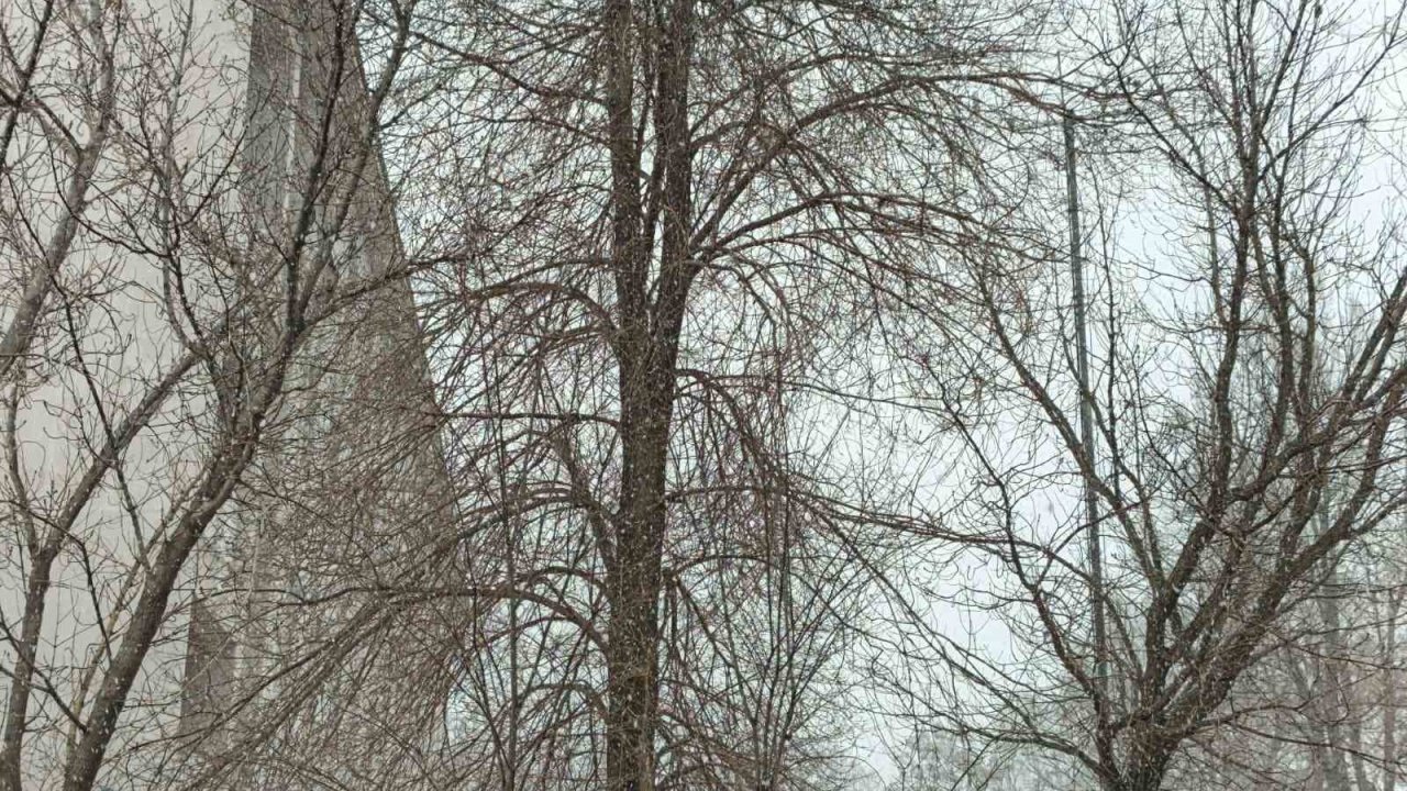 Bahar gelmeden kış geri döndü; Diyadin’e kar sürprizi