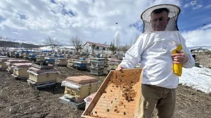 Bal sezonu Ardahan’da umutla açıldı