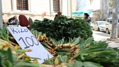 Dağların şifası pazara indi