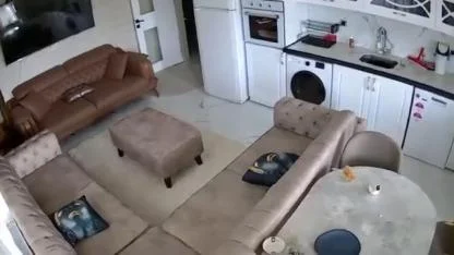 Van'da deprem paniği