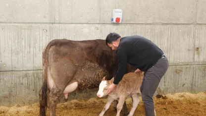 Devlet desteği ile kurduğu akıllı ahır projesiyle verimliliği artırdı