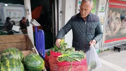 Doğadan tezgahlara çiriş otu