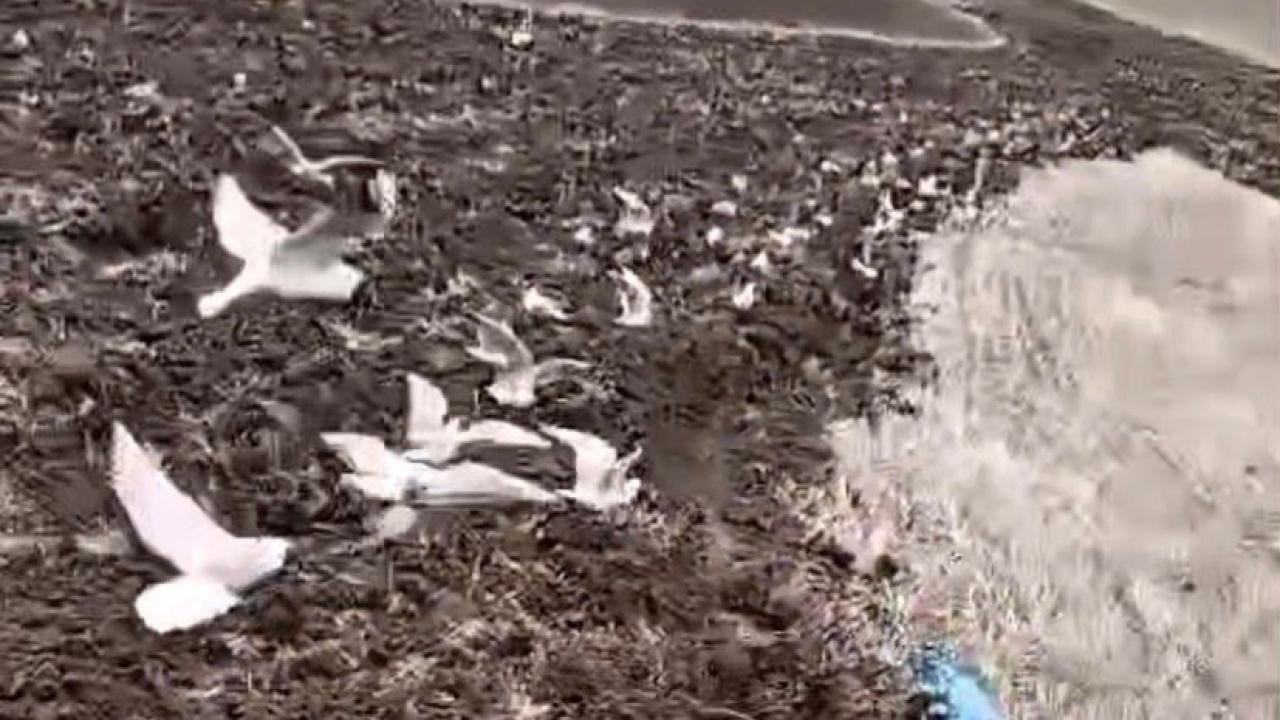 Ekim sezonu renkli görüntüler oluşturdu