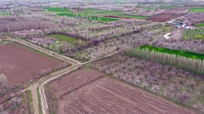 Iğdır’da kayısı ağaçları görsel şölen sunuyor