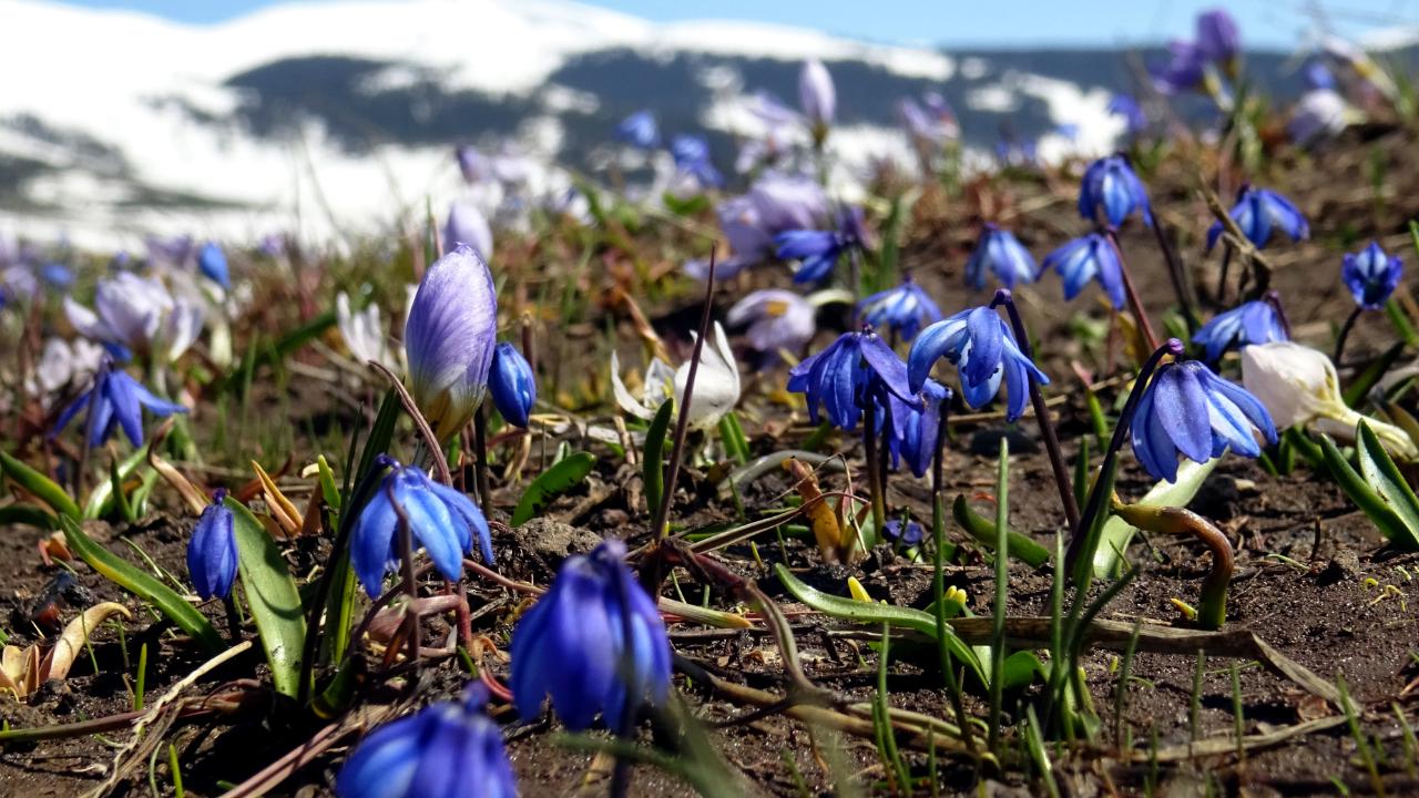 Karların erimesiyle şelale aylar sonra yeniden coştu