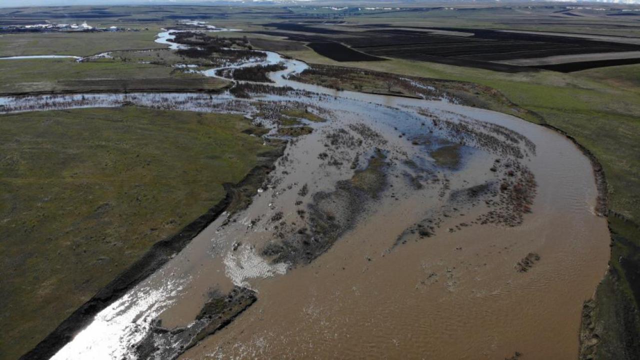 Kars Çayı taştı: Ağaçlar sular altında kaldı
