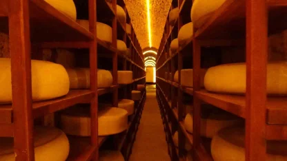 Kars Peynir Müzesi turistlerin gözdesi oldu