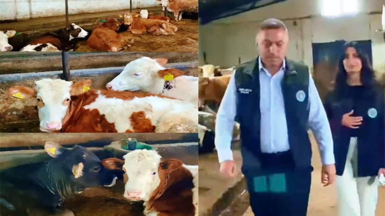 Kars Ziraat Odası’ndan hayvan çiftliği modeli