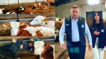 Kars Ziraat Odası’ndan hayvan çiftliği modeli