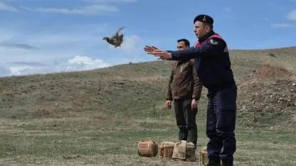 Kars’ta kaçak av operasyonu: 51 keklik doğaya salındı