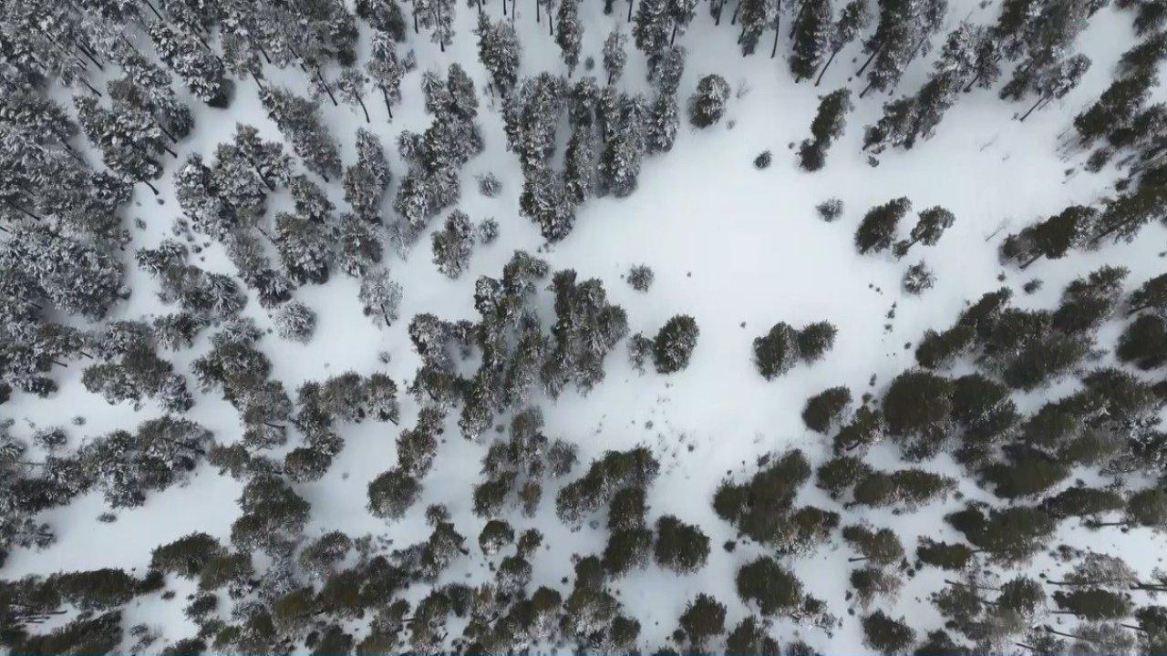Kars’ta sarıçam ormanları beyaza büründü, tarım arazileri kar altında